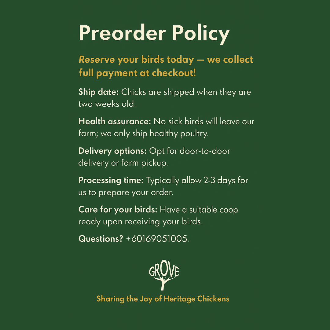 Full payment required