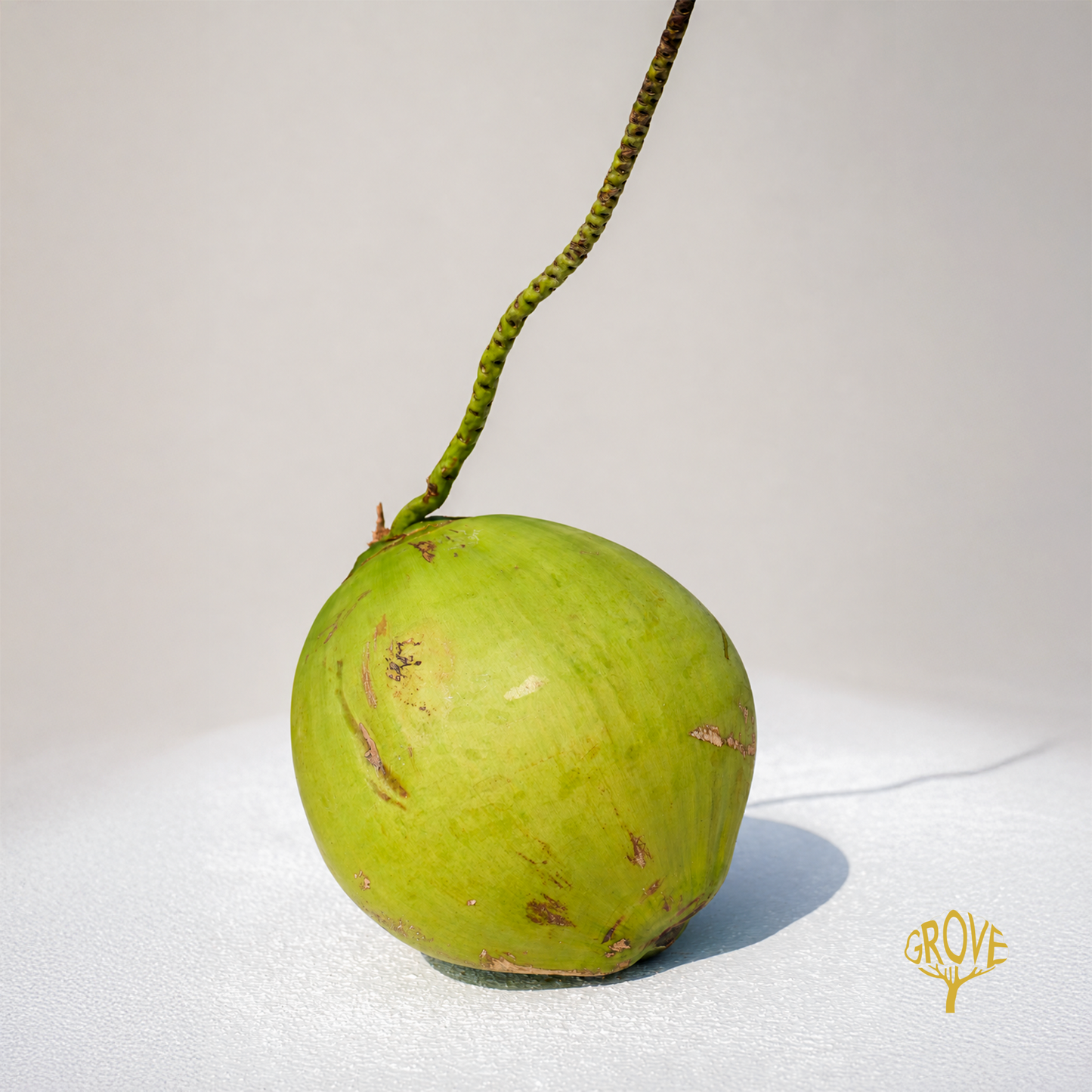 A whole green coconut with its stem standing upright, photographed on a clean white surface against a light neutral background. A small gold 'GROVE' logo appears in the lower right corner.