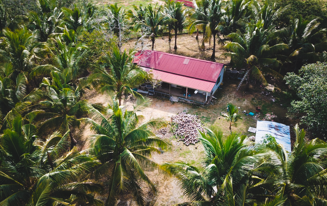 A New Chapter for Grove Farm in Melaka
