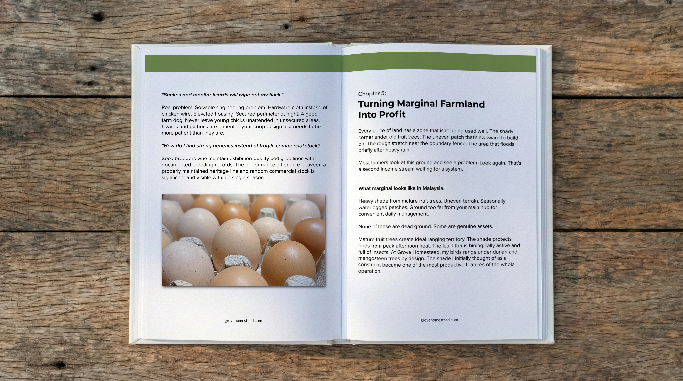 Open book on a wooden surface with text and an image of eggs.