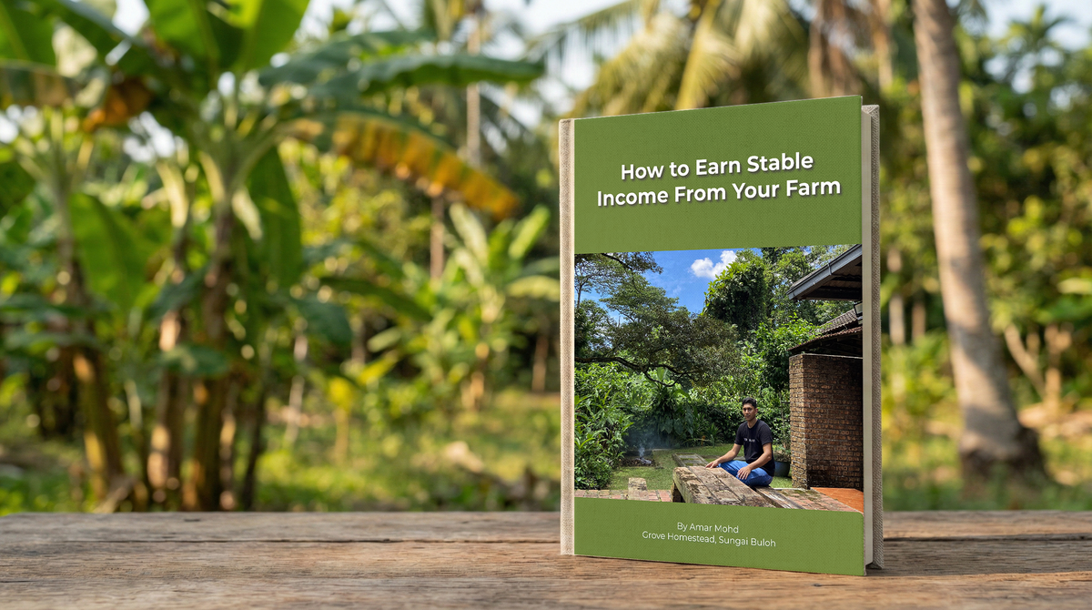 Earn Stable Income From Your Farm – Grove Farm