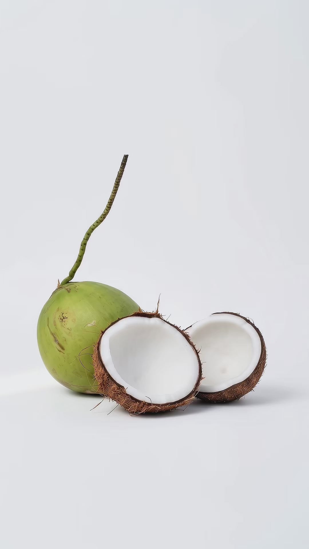 Load video: A beautiful coconut plantation using sustainable agriculture, from mature tree to seedlings